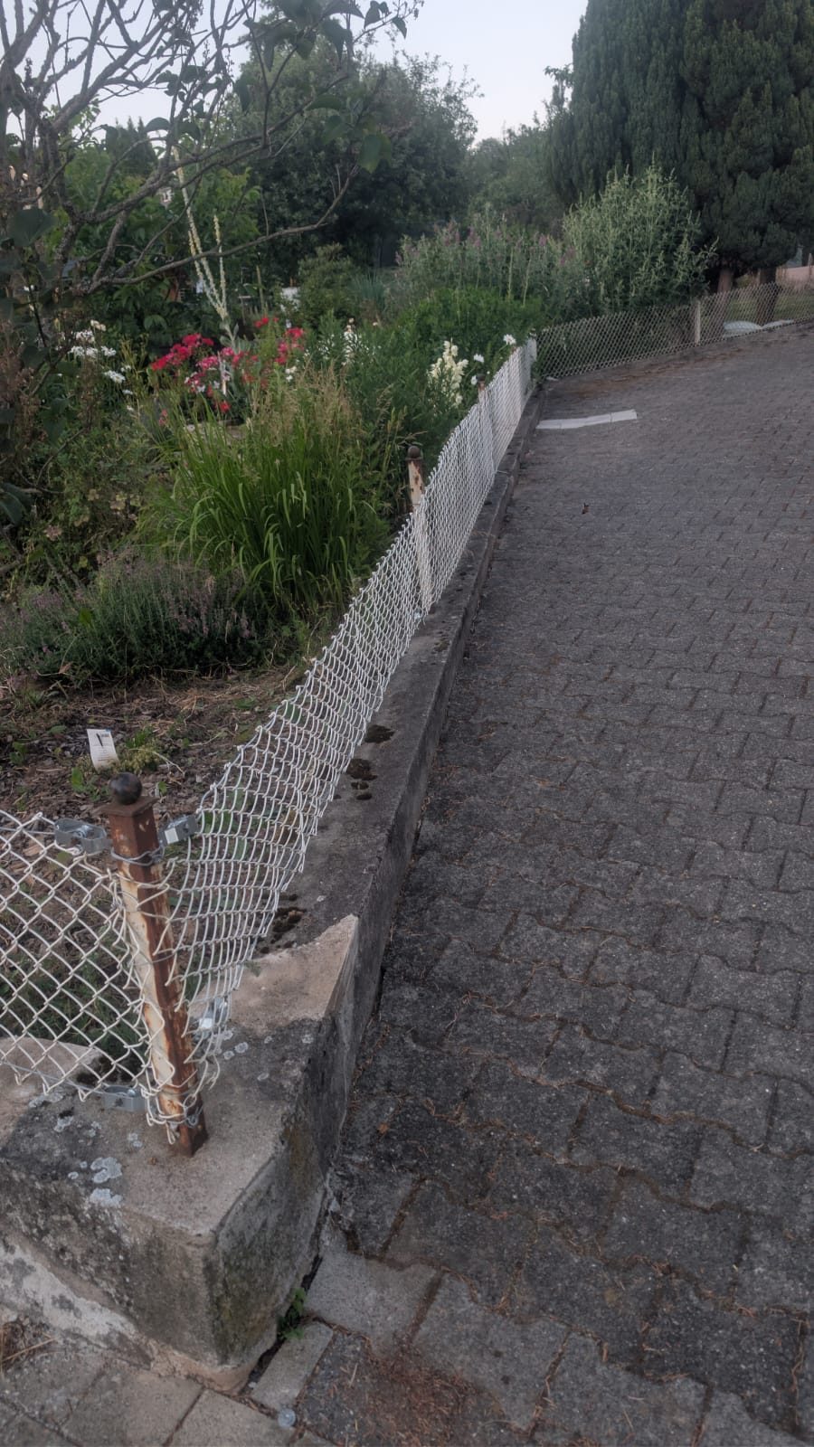 Maschendrahtzaun nach der Sanierung, neu gespannt